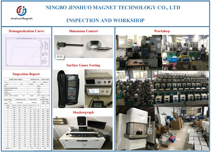 Rare Earth Magnets and Magnetic Assemblies for Motors Neodymium Rotor Magnetic Assembly